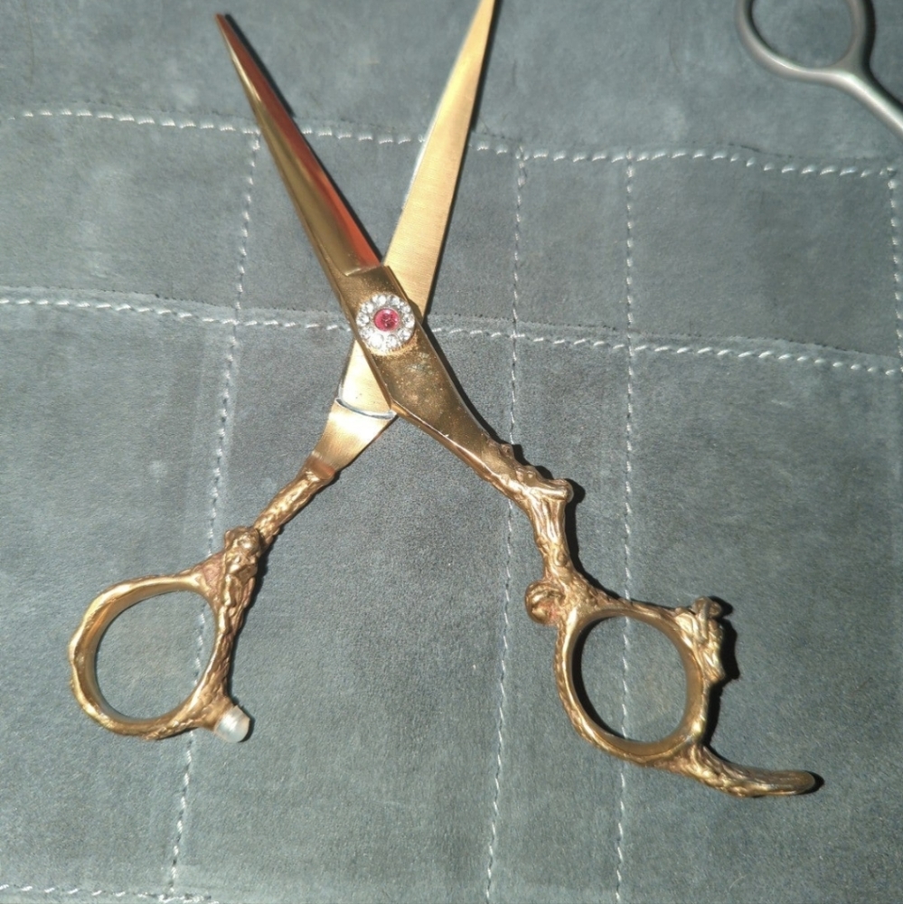 Professional hair shears